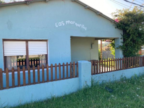 Las Margaritas